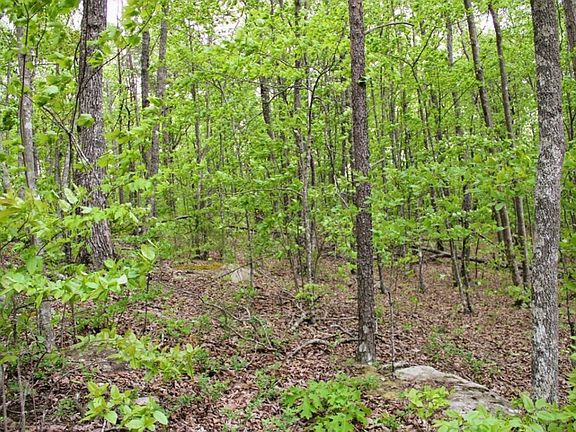5th image of 0 Gray Creek Rd Lot 22
