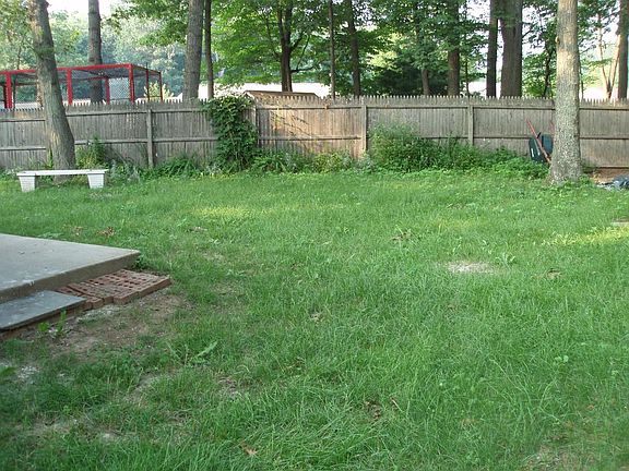 Large, mostly fenced Back Yard with room for gardening!
