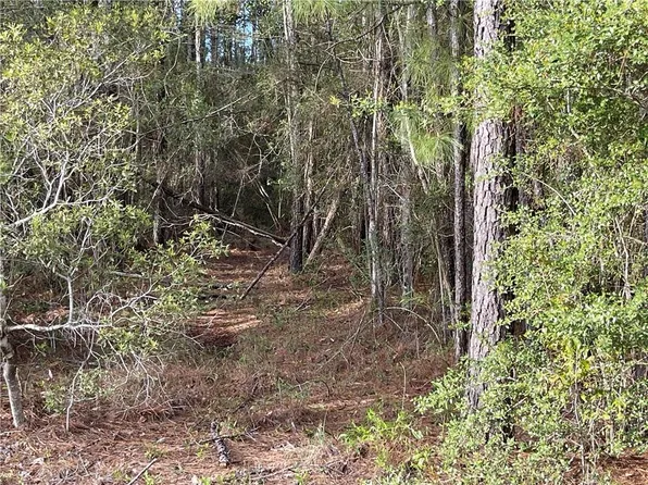 Bob Levy Rd, Talisheek, LA 70464