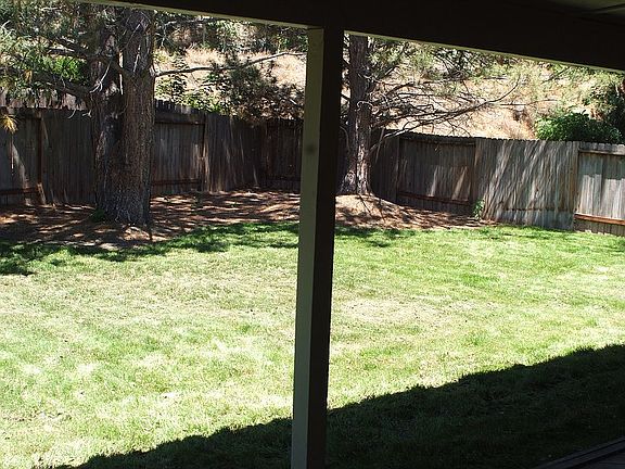 Back Lawn