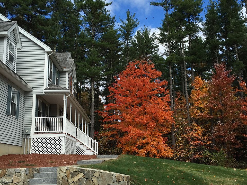 Fall Foliage