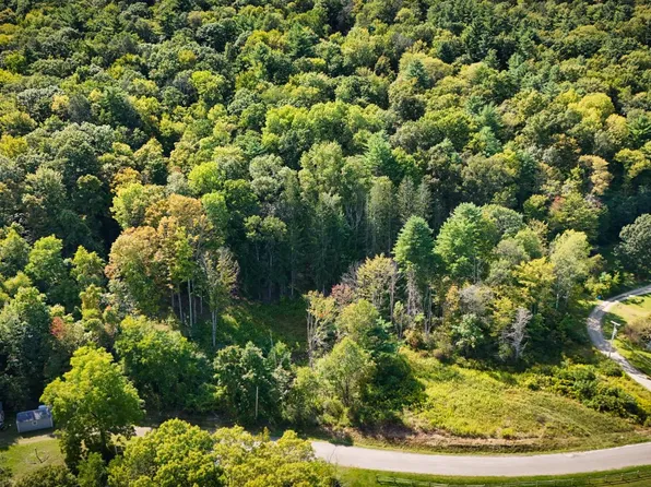 0 Worden Rd, Waverly, NY 14892