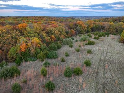 2560 Timber Ln, Saint Charles, IA, 50240