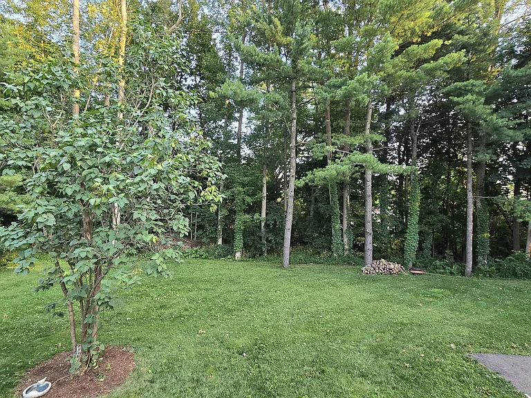 72 Juniper Rdg #A — Photo 59