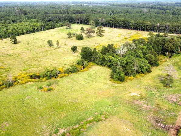 A1264 County Road 3063, Kirbyville, TX 75956