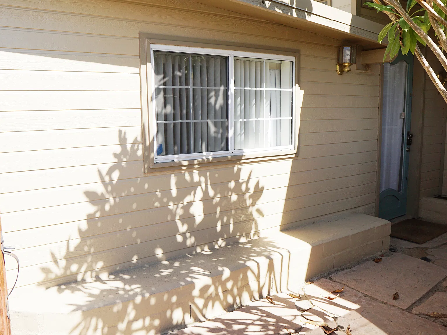 1 bed, 800 sqft, $1,995 — Photo 3