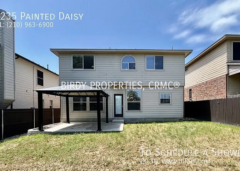 12235 Painted Daisy — Photo 41