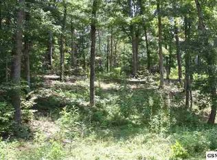 315 White Cap Ln, Pigeon Forge, TN 37863