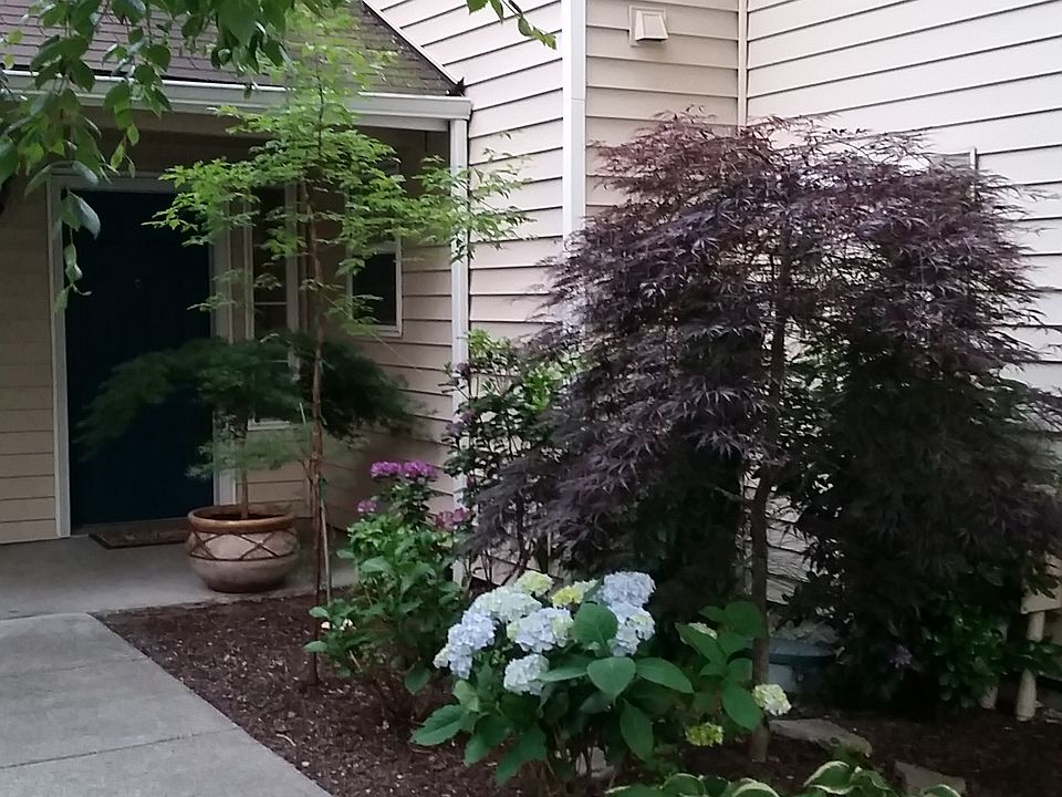 1st image of 4701 NE 77th Ave APT 6B
