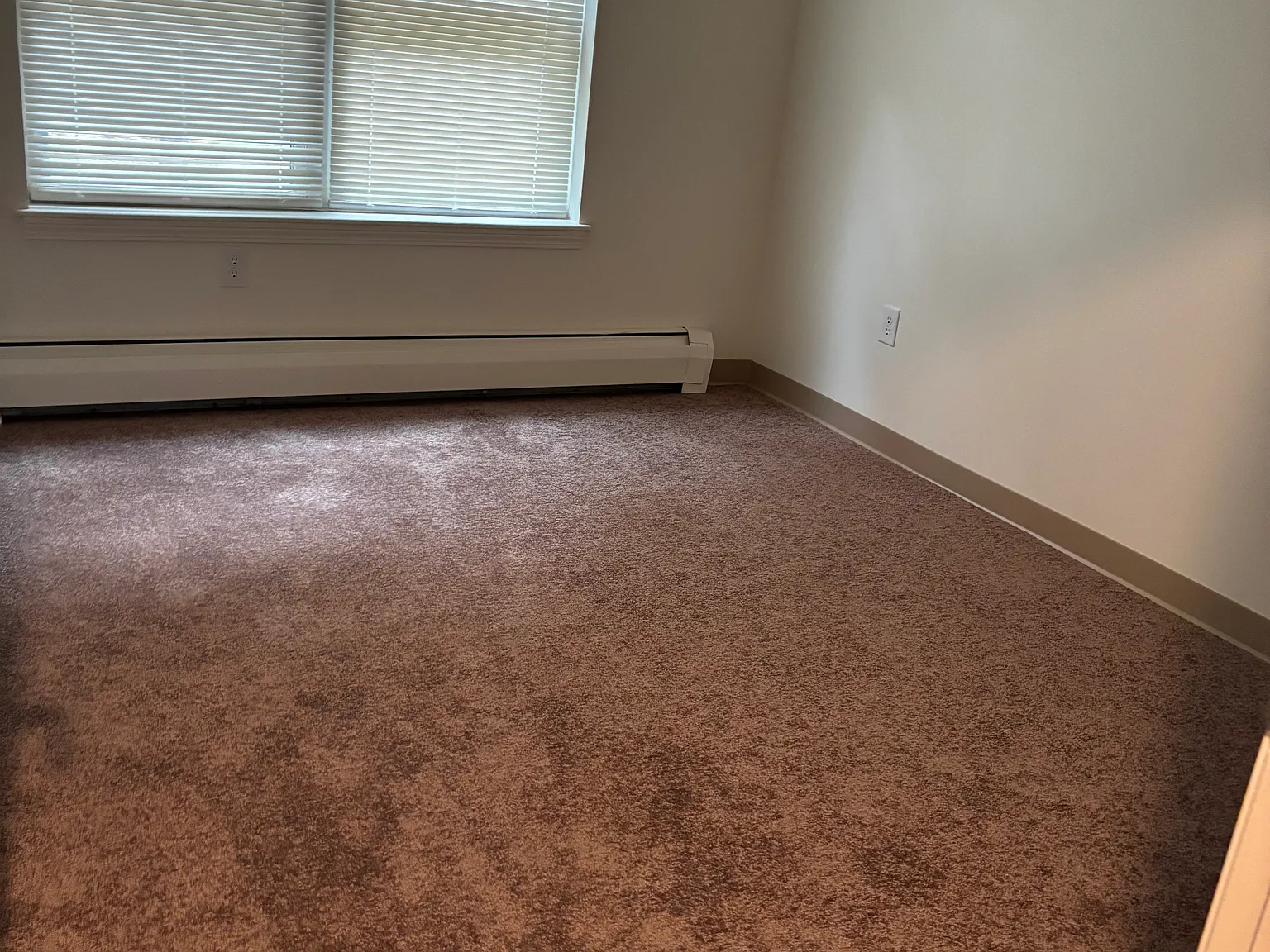3 bed, $1,625 — Photo 4
