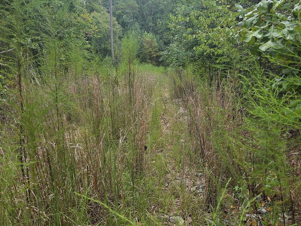 2nd image of 890 Forrester Cemetery Rd