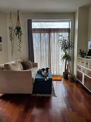 Rented by EXR | media 11