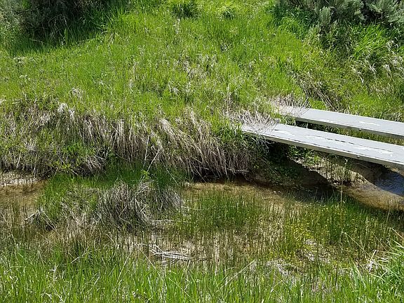 Back of prop-Curtis Creek 2