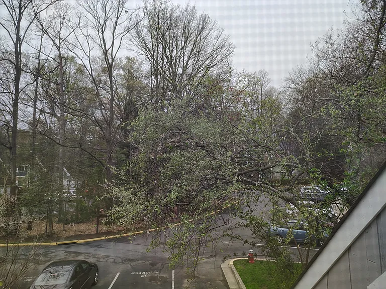 Greenmont Ct — Photo 24
