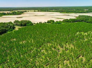 0 Graves Springs Rd, Leesburg, GA 31763