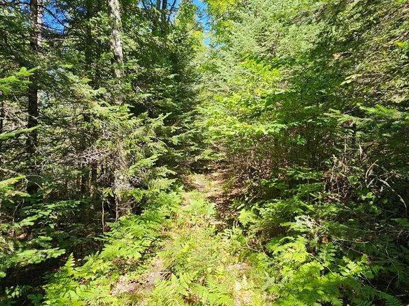 LOT 4 Golf Course Dr, Mercer, WI 54547