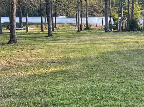 139 Willowood Cv, Chapin, SC 29036