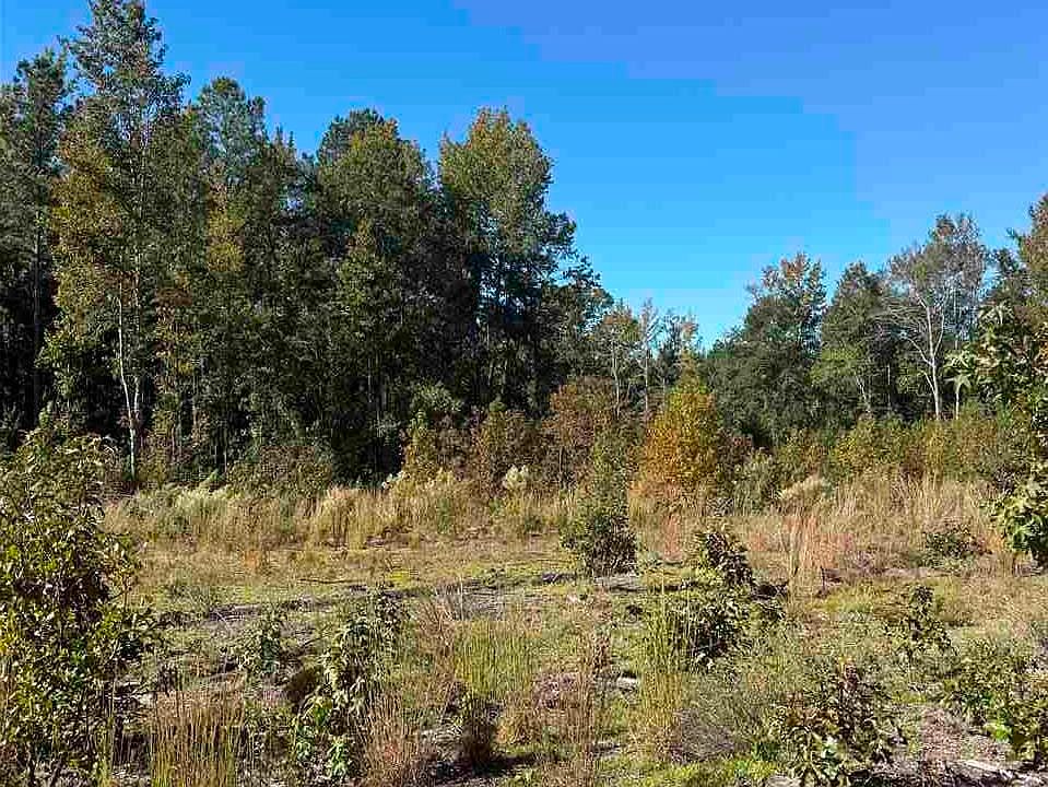 2nd image of Rock House Rd