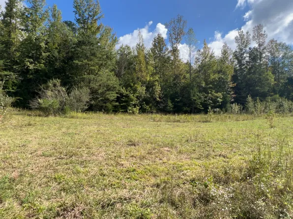 0 Old Beech Creek Rd, Waynesboro, TN 38485