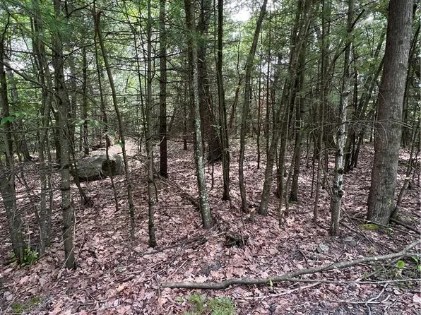 Pitch Pine, Call Listing Agent, PA 18328