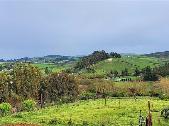 4th image of 2633 Blucher Valley Road