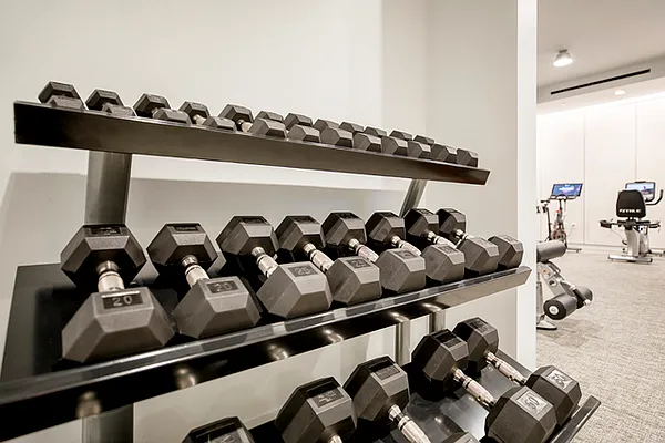 Rented by Compass | media 46