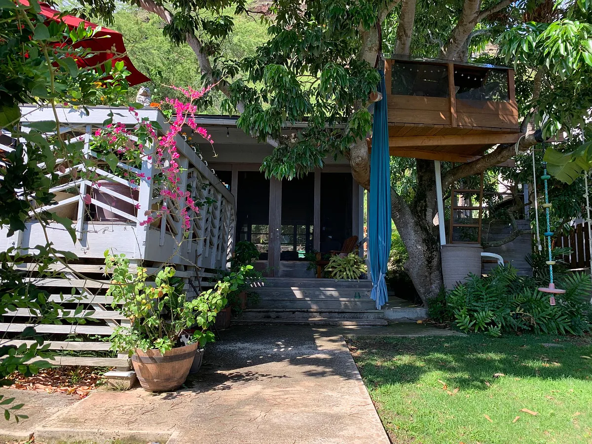 Landscaped front and back yards. Front yard includes outdoor shower, tree swings, and tree house. - 469 Lawelawe St