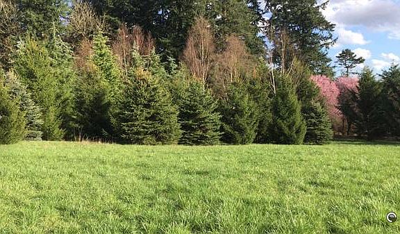 5th image of NE 182nd Ave