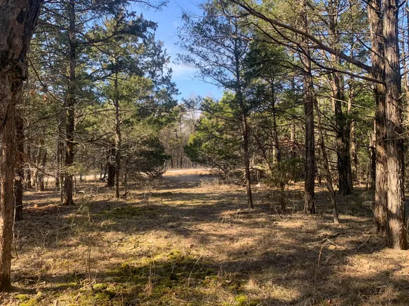 000 Camelot  Lot 17, Cedar Creek, MO 65627