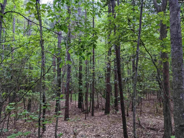 Syrup Mill Rd, Ridgeway, SC 29130