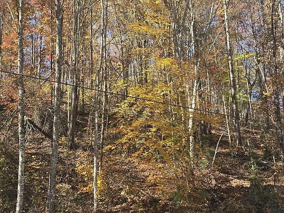 2nd image of Emerald Springs Loop