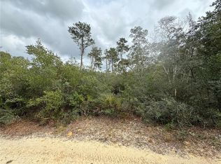 NE 155th Ct LOT 18, Fort Mc Coy, FL 32134