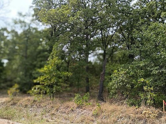 2nd image of 126 Rising Star Trl