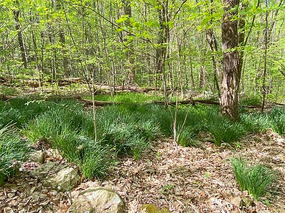 4th image of 0 Hensley Hollow Rd