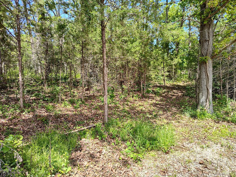 2nd image of 000 Woodland Drive