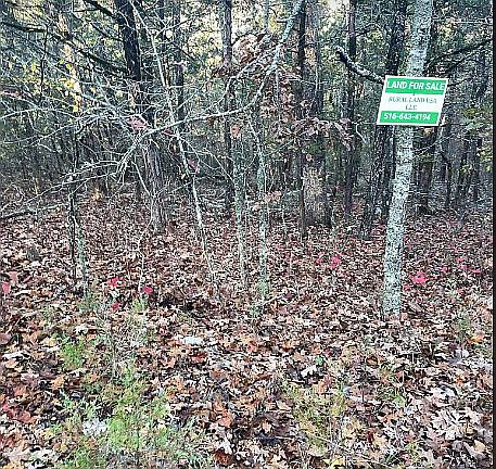 5th image of 36.3822 92.1952 Miller Trail Dr