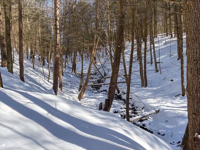 0 Huntley Hollow Rd, Delancey, NY, 13752