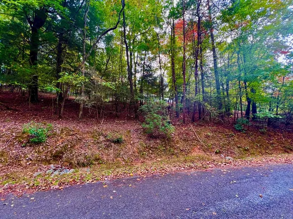 548 N Satsuma Ct, Ellijay, GA 30540