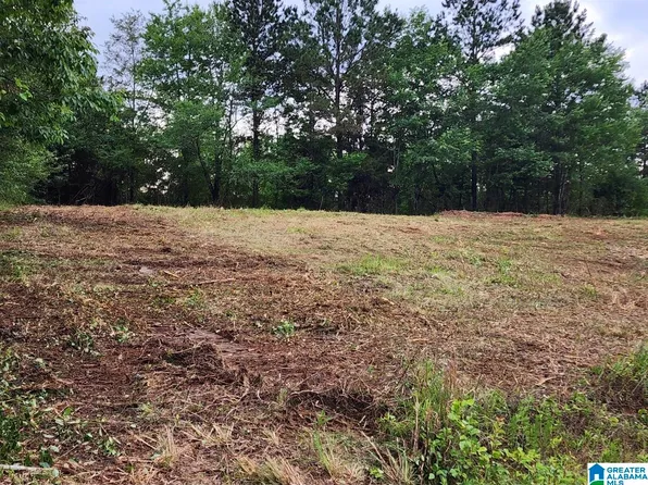 0 County Highway 13 #2, Cleveland, AL 35049