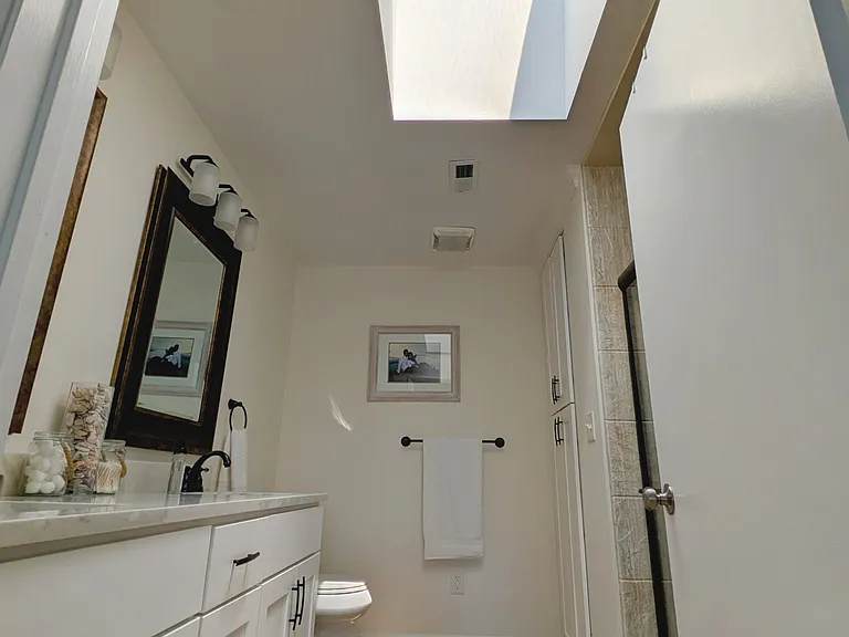 Master Bathroom: Skylight