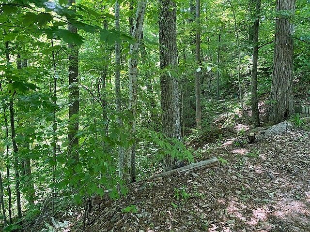 2nd image of 0 Lots 3 And 4 Ridgefield Dr