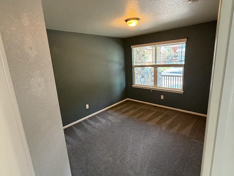 3309 Yule Trail Dr — Photo 8