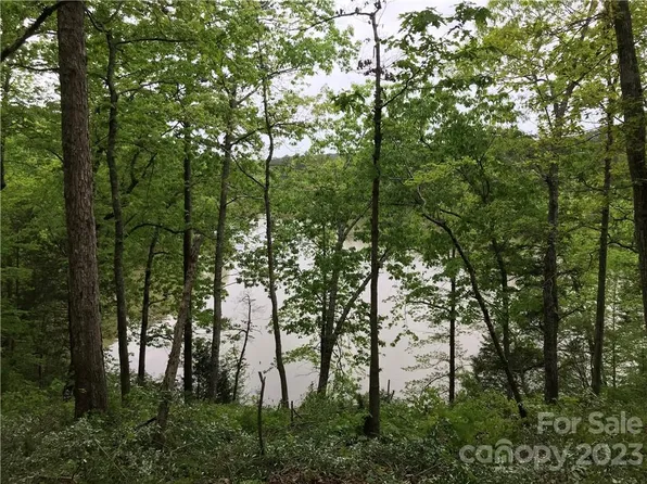 4 Serenity Shores Goings Rd, Chester, SC 29706