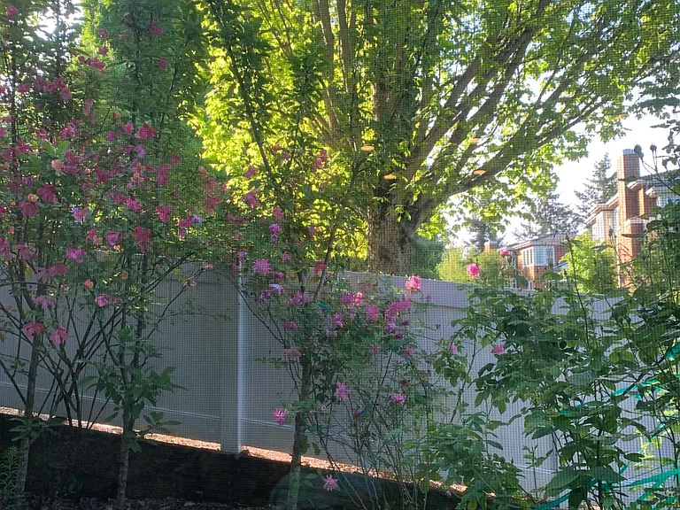Outdoor fenced area - perfect for a green thumb.