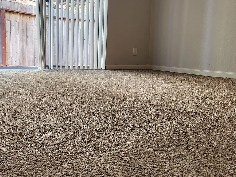 31932 Del Cielo Este — Photo 14