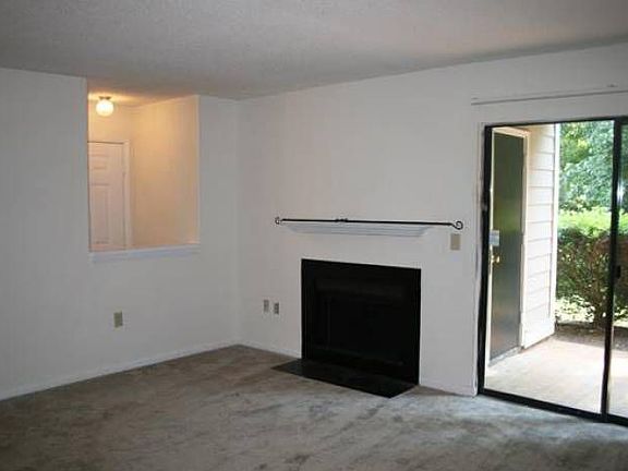 Wood burning fireplace