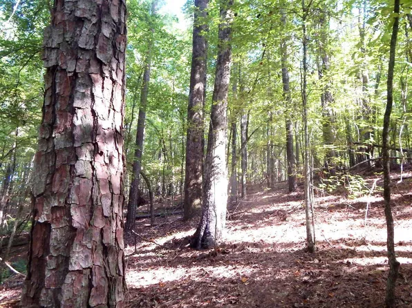 414 247 Country Rd, Bruce, MS 38915