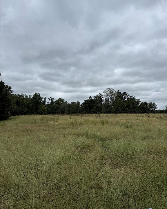 2nd image of 0 Francisco Ln