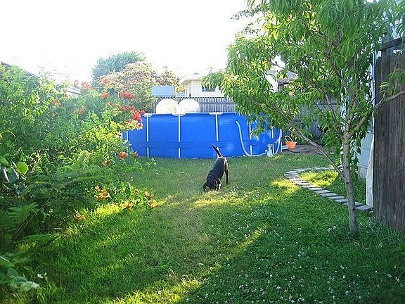 Saltwater Pool Included