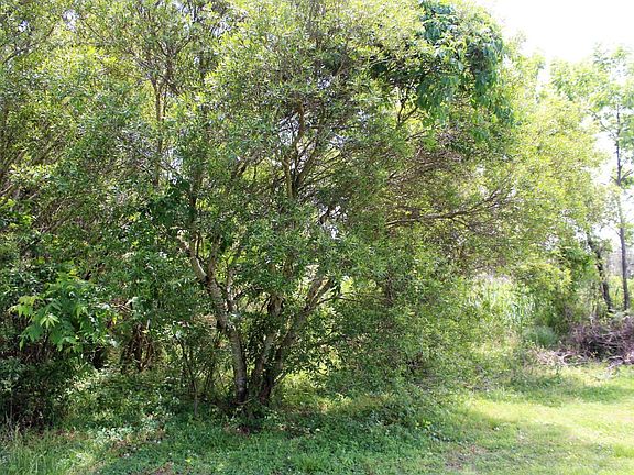 5th image of Sr 1146 Makelyville